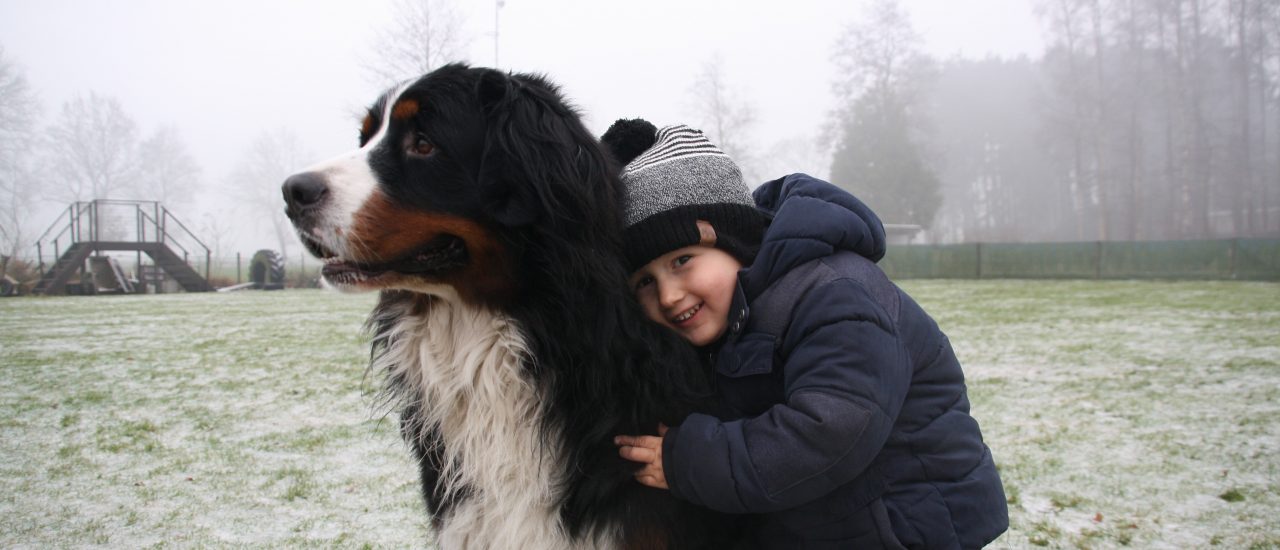 voor hond en mens